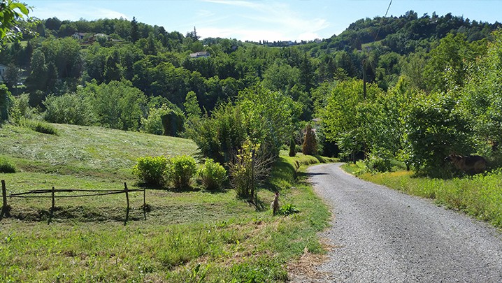 Bed and Breakfast La Lacia